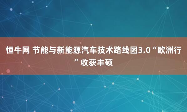 恒牛网 节能与新能源汽车技术路线图3.0“欧洲行”收获丰硕