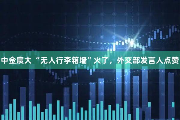 中金宸大 “无人行李箱墙”火了，外交部发言人点赞