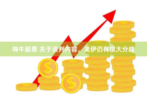 嗨牛股票 关于谈判内容，美伊仍有很大分歧